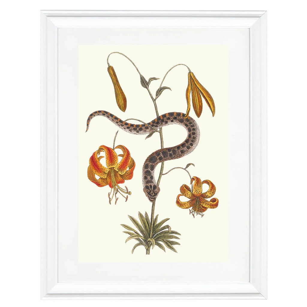 Serpent Among Lilies Art Print